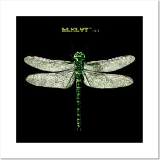 BLKLYT/57 - BUG 3 DRAGONFLY Posters and Art